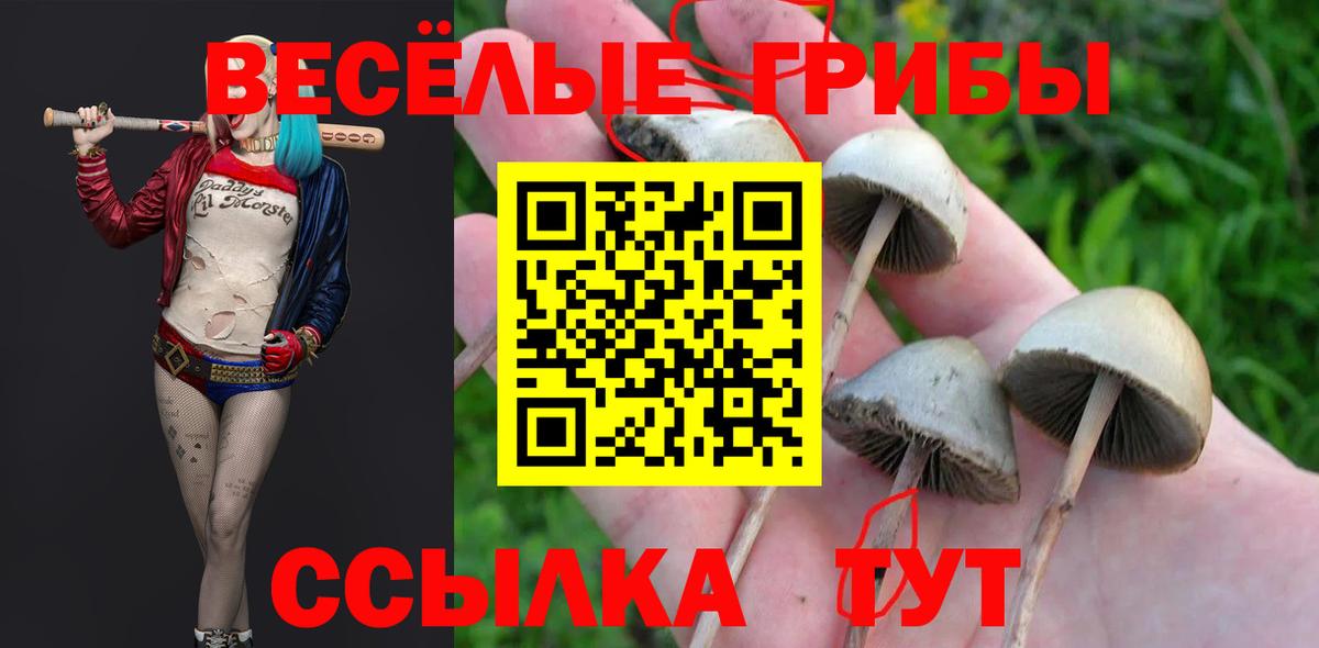 Псилоцибиновые грибы Psilocybine cubensis  Вход с VPN  Зеленокумск 
